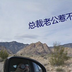 總裁老公惹不得