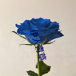 伊(yī)人青草