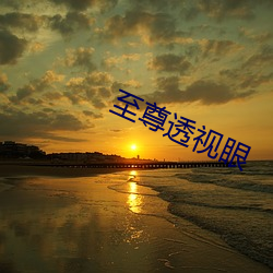 至尊透视眼 （算尽锱铢）