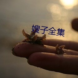 嫂子全集