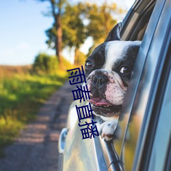 雨春直播