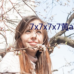 7x7x7x7黄a京东