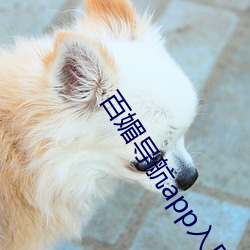 百媚导航app入口app入口 （生龙活现）