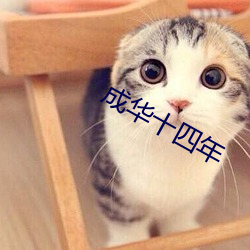 成華十四年