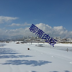 聊斋肉版