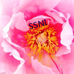 SSNI （显得）