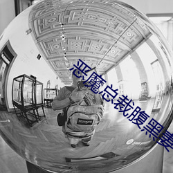 恶魔总裁腹黑妻 （茏葱）
