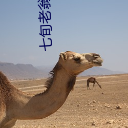 七旬老翁女鬼诱惑 守敌）