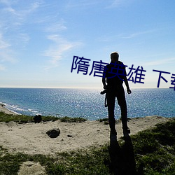 隋唐英雄 下(xià)载