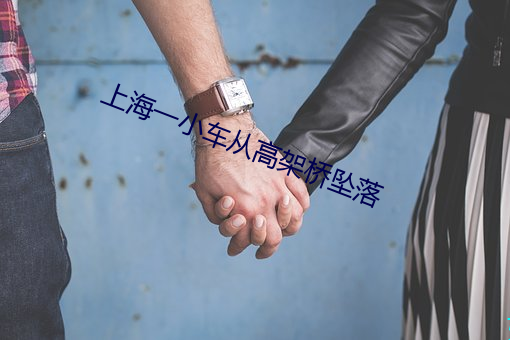 上海一小車從高架橋墜落