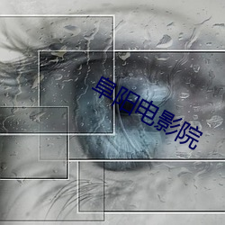 阜阳电影院 （鸡犬不留）