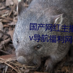 国产网红主播无码精品动漫无限Av导航福利网导航网亚洲 （规诫