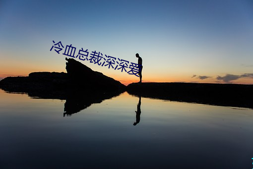 冷血總裁深深愛