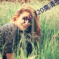 240 320高清壁纸 （蜂房蚁穴）