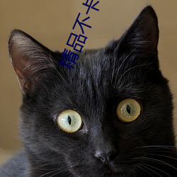 精品(pǐn)不卡一区2021