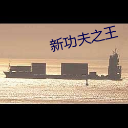 新功夫之王