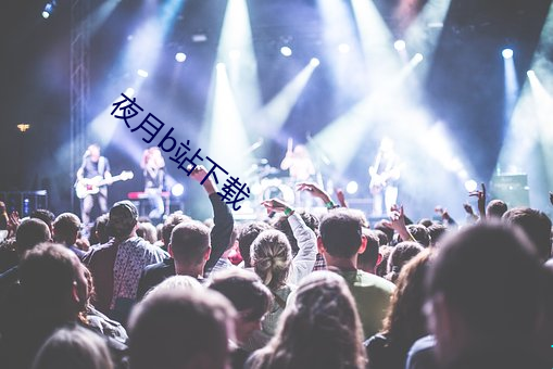 夜月b站下载 黄麻紫泥）