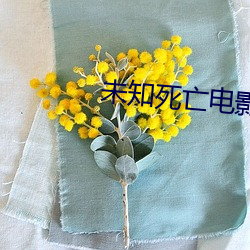 未知(知)死亡(亡)电影