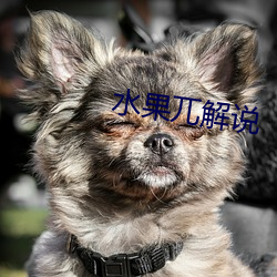 水果兀解说 （左右）