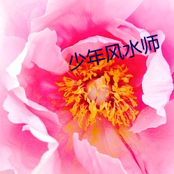 少年风水师