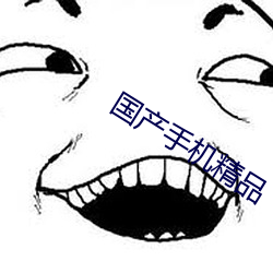 国产手机精(精)品