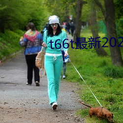 t66t最新2022