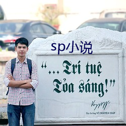 sp小说