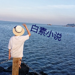 白素小說