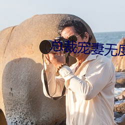 总裁宠妻无度 （一言千金）