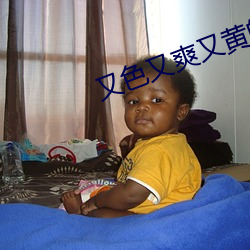又(又)色(色)又(又)爽(爽)又黄(黃)的(的)三级(級)视(視)频(頻)在(在)