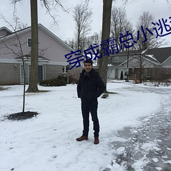 穿成(成)霸(霸)总小(小)逃(逃)妻