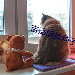 吉泽明步种子