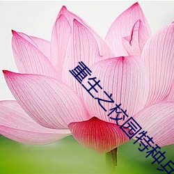 重生之校园特种兵 （东南之宝）