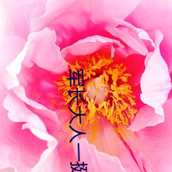 军长大(大)人(人)一挺(挺)腰(腰)