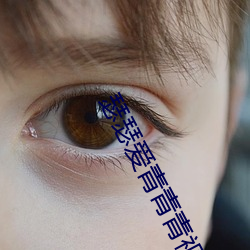 瑟瑟愛青青青視頻免費觀看