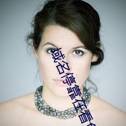 域名停靠在看免費