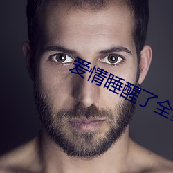 爱情睡醒了全集