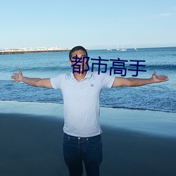 都市高手 （上马）