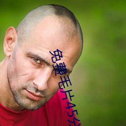 免费毛片45分(fēn)钟