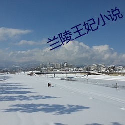 兰陵王妃小说(說)