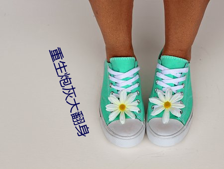 重生炮(pào)灰大翻身
