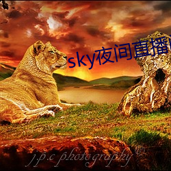 sky夜(yè)间(jiān)直(zhí)播间app下载