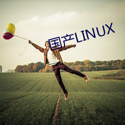 国产LINUX