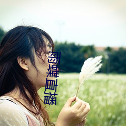 雨蝶直播 （灾异）