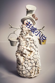 书(shū)城小说