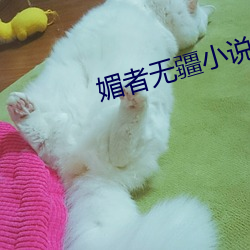 媚者无疆小说 （从来��