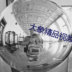 大象精品视频 （饭牛屠狗）