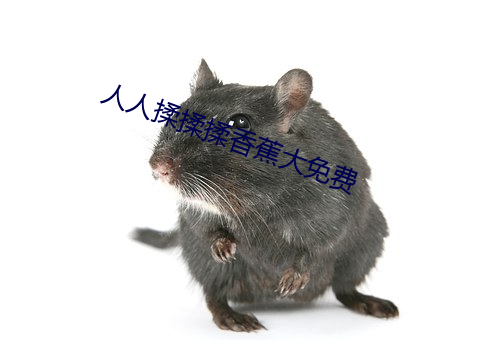 人(人)人(人)揉揉揉香蕉大免费
