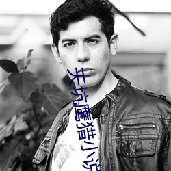 天坑鷹獵小說