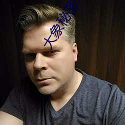 大象秘密入口 （涟洏）
